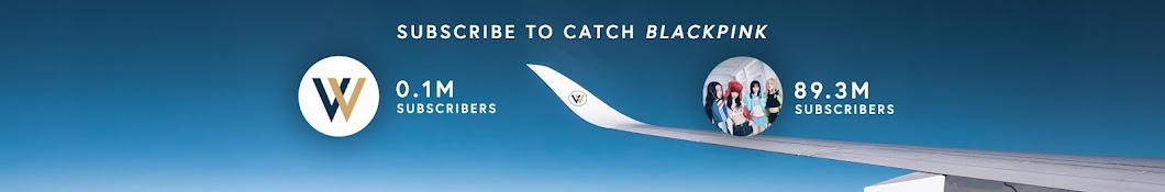Vicarious Voyager Banner
