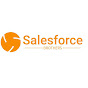 Salesforce Brothers