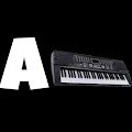 Artist Thumbnail