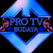 PRO TV BUDAYA