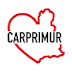 Proyecto CarPriMur