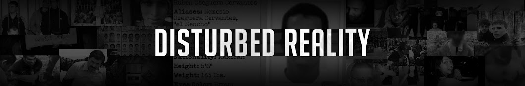 Disturbed Reality Banner