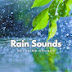 Rain Sounds Calm