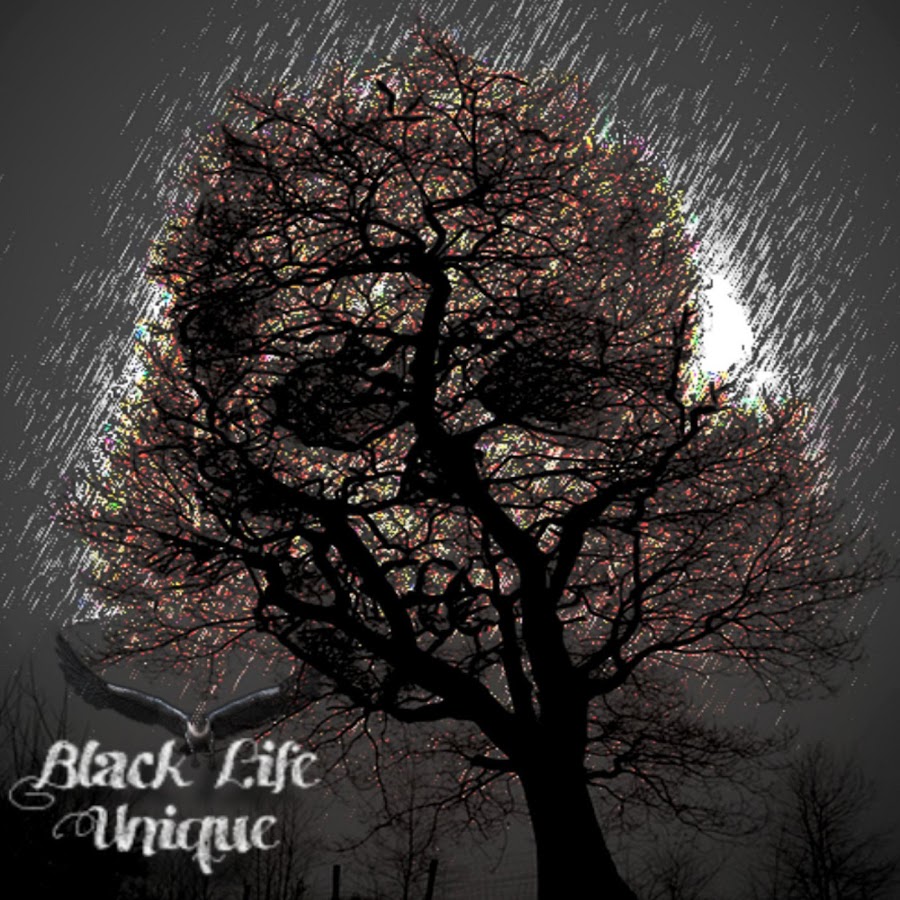 Life is unique. Black Life. Черная жизнь.