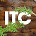 logo ITC | Чебрець та Розмарин