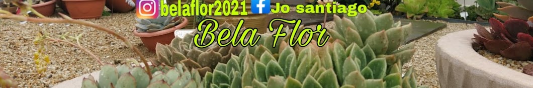 Jo Bela Flor