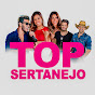 As Melhores do Sertanejo