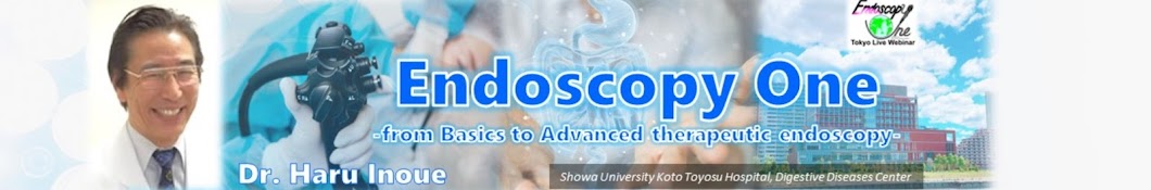 Endoscopy ONE Channel