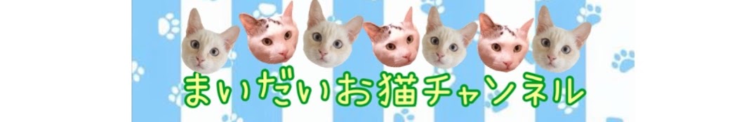 まいだいお猫チャンネル