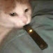 vapingcat