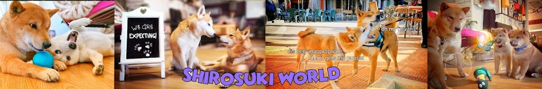 SHIROSUKI World Banner