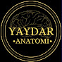 YAYDAR ANATOMİ