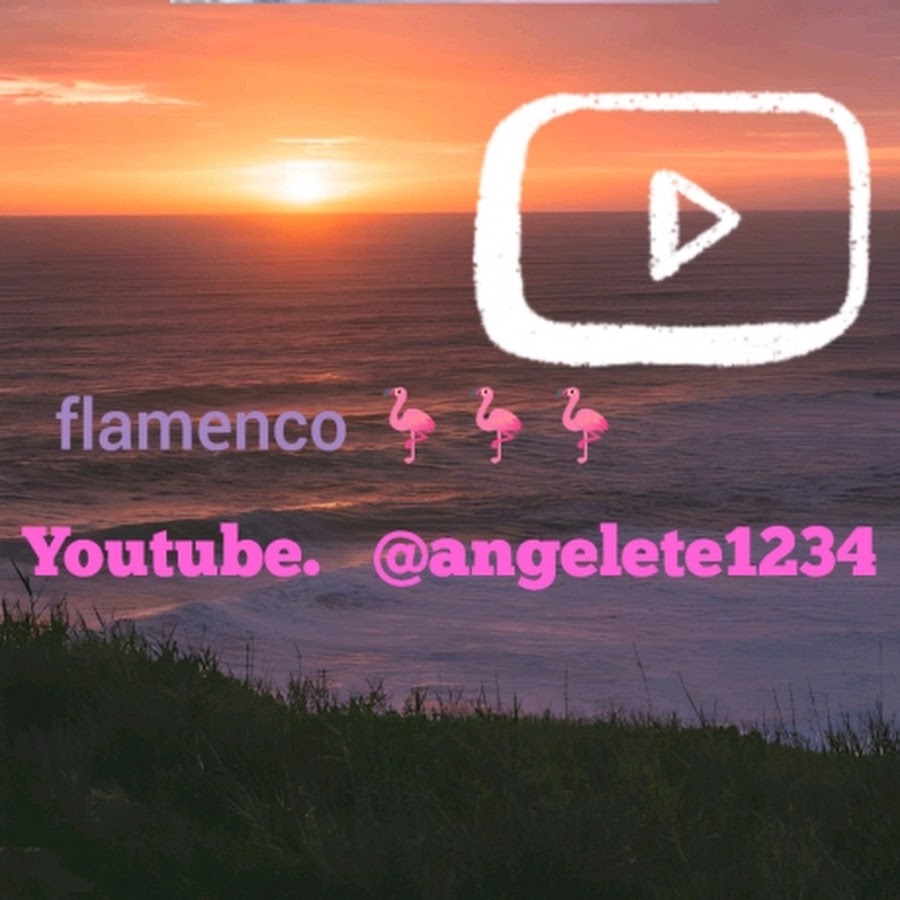 (flamenco 🦩 guitarra) ángel 🦩)