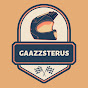 Gaazzsterus