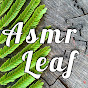 ASMR LEAF