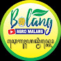 BOLANG AGRO MALANG