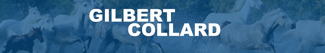 Gilbert Collard TV Banner