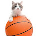 Catsketball