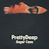 logo PrettyDeep - Topic