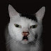 Adolf Kitler