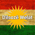 Dilsozê Welat