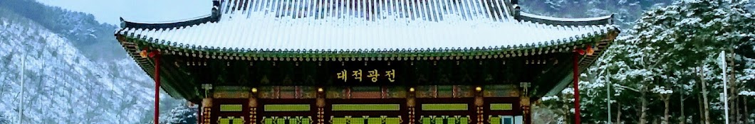 金剛松 푸른 솔