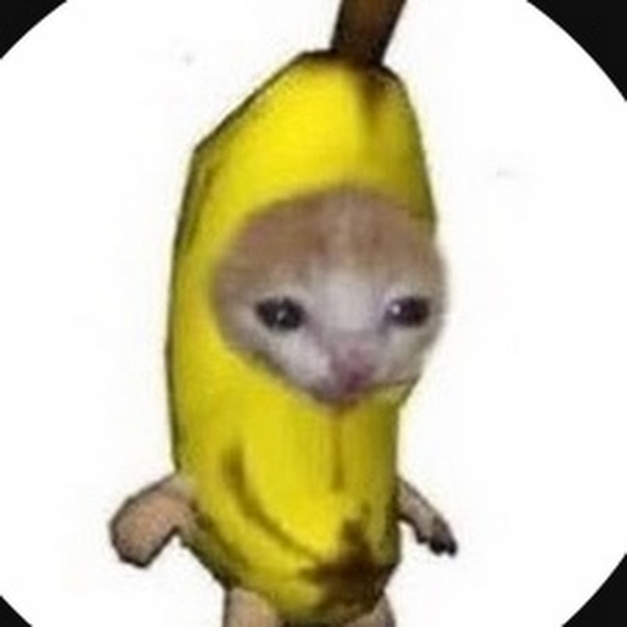 banana-cat-rmemetemplatesofficial-vrogue-co