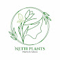 Netti Plants