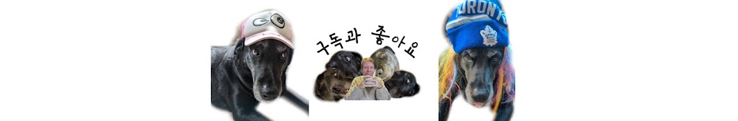 천사패밀리