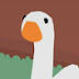 funny goose 