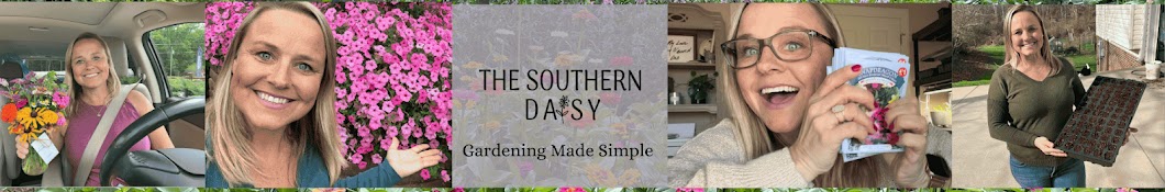 The Southern Daisy