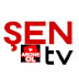 ŞENTV