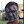tsply avatar