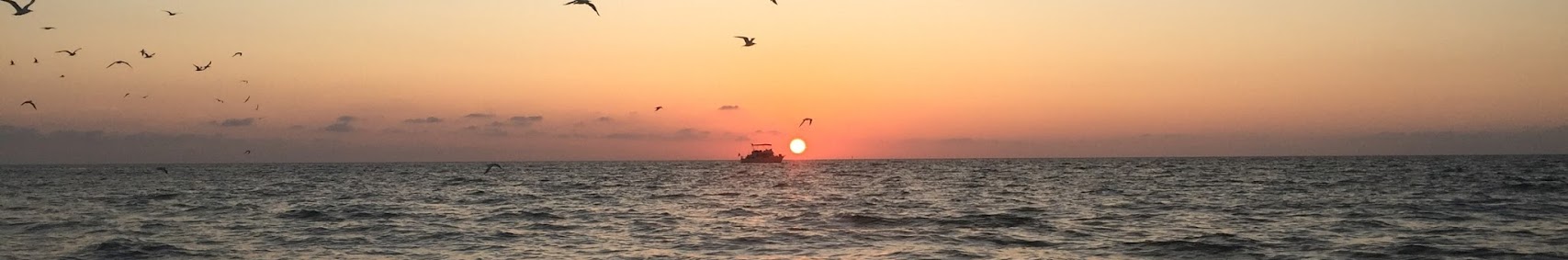 unanchoredadventures5962