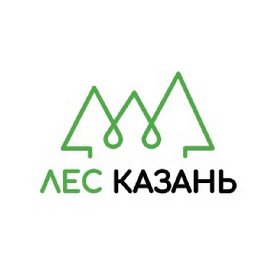 Лес Казань - YouTube