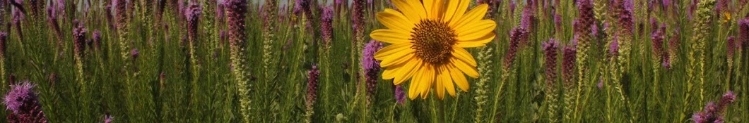 Missouri Prairie