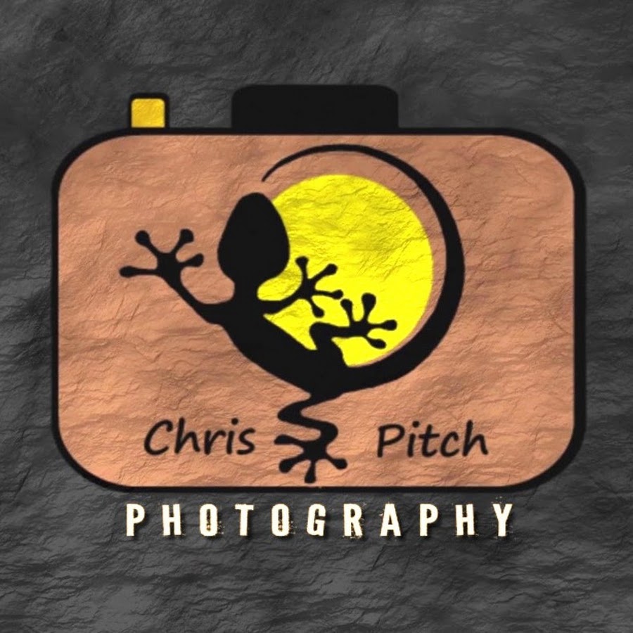 Chris Pitch @Chrispitchwildlife