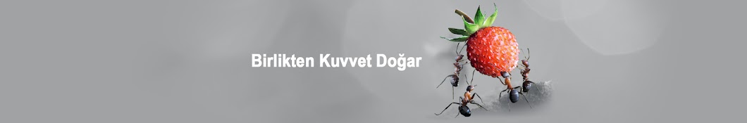 Finansal Kurumlar Birliği