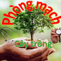 Phòng mạch cây trồng