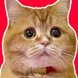 チャンネルサムネイル
