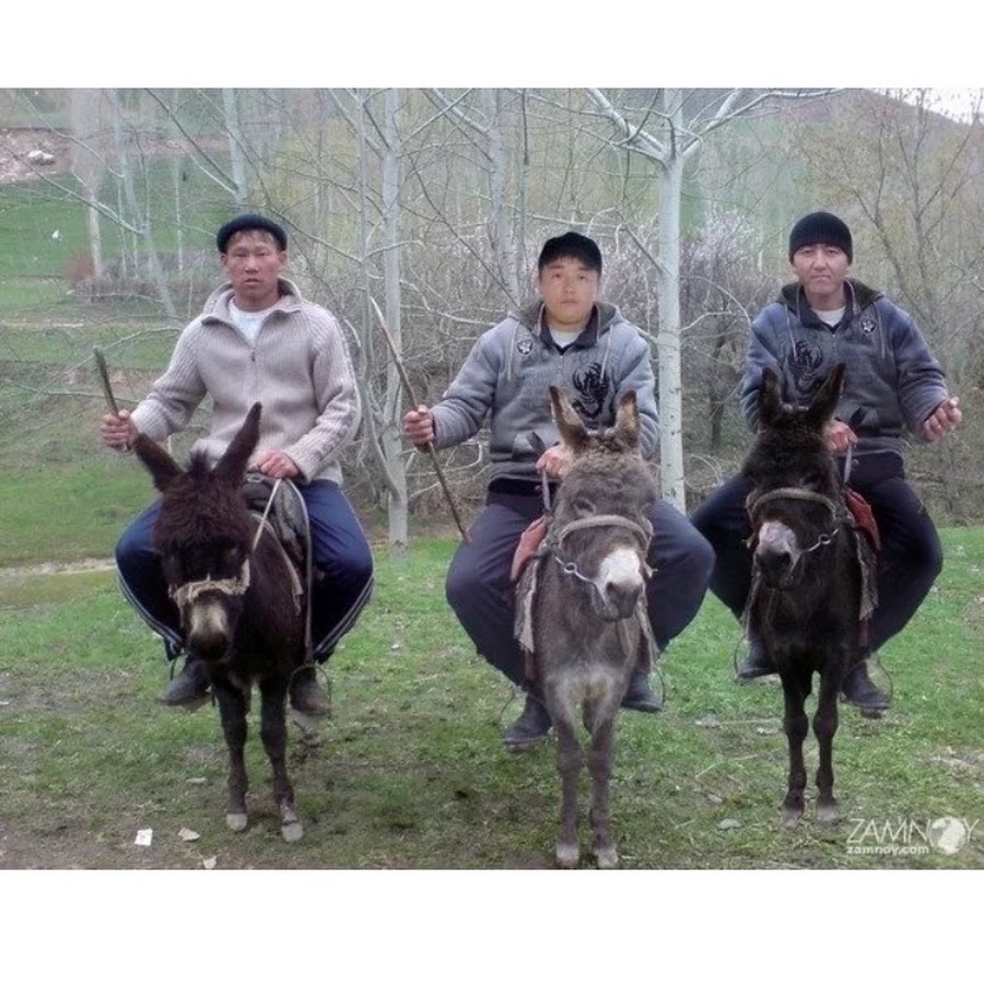 Киргиз или киргизов как правильно. Прикольные киргизы. Смешной Киргиз фото. Кыргыз прикол. Киргизы современные.