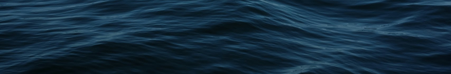 sailingargo38