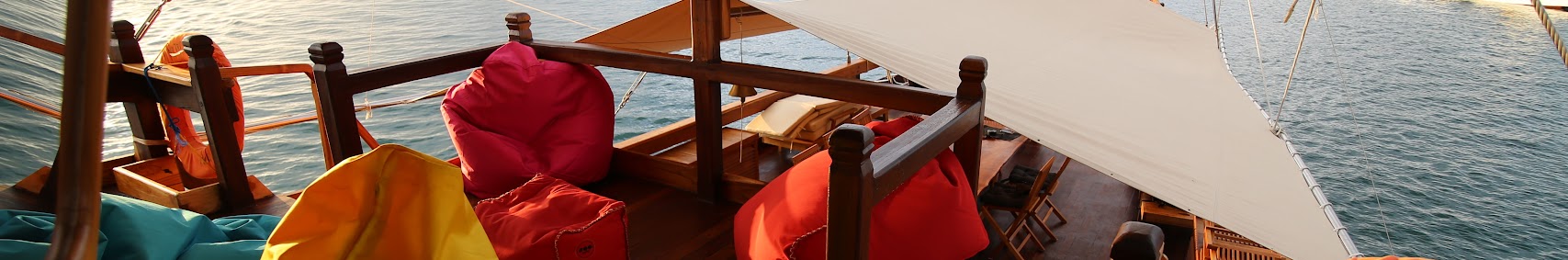 adishreeandamariliveaboard