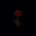 Artist Thumbnail