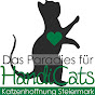 Paradise for HandiCATs