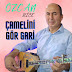 Özcan Bice - Topic