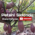 logo Petani Sidondo