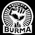 Revolut Burma News Channel