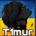 T1mur