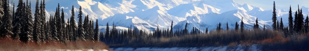 Life in Alaska Banner